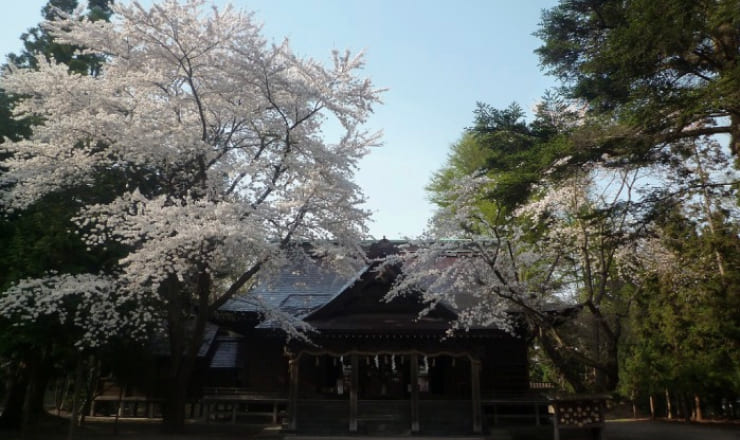 猿賀神社のサイトTOP画像