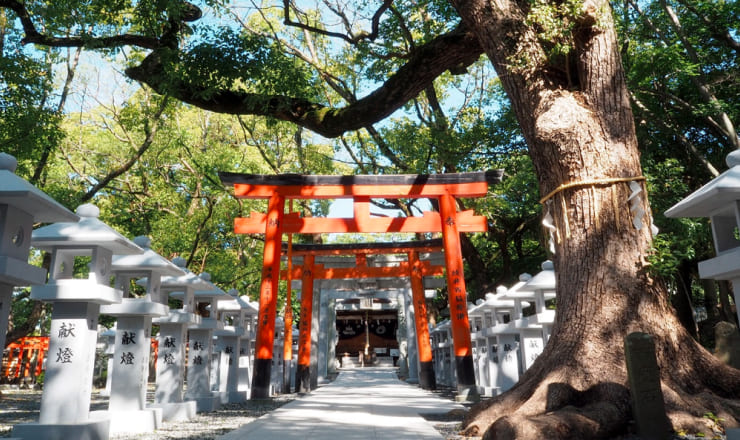 信太森葛葉稲荷神社のサイトTOP画像