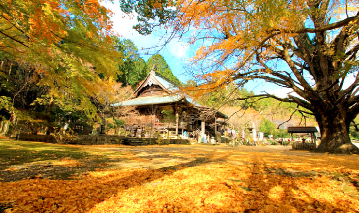 仏王山 大山寺のサイトTOP画像